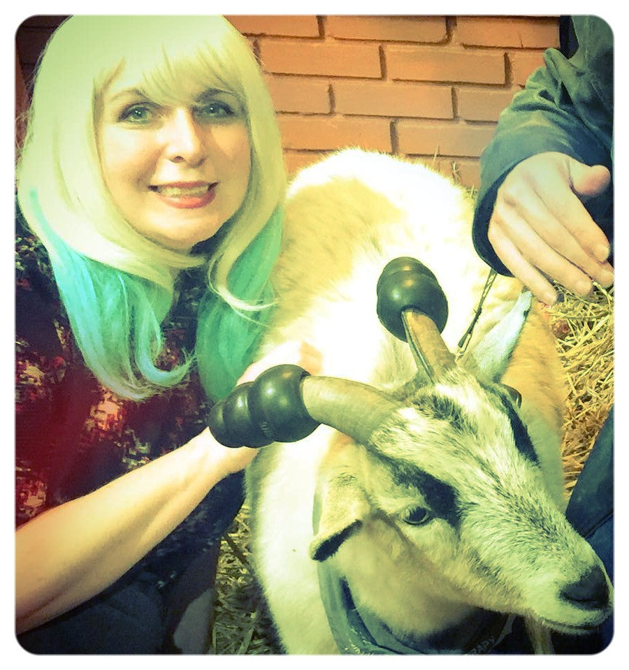 Hot Toddies and Goat Selfies