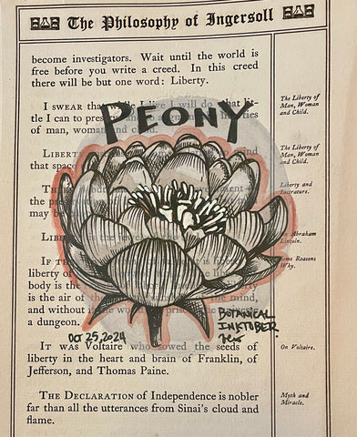Botanical Inktober Day 25, 2024 "Peony"