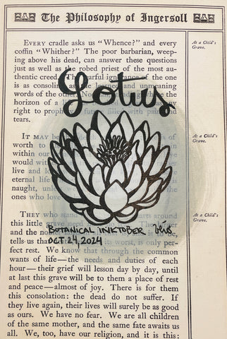 Botanical Inktober Day 24, 2024 "Lotus”