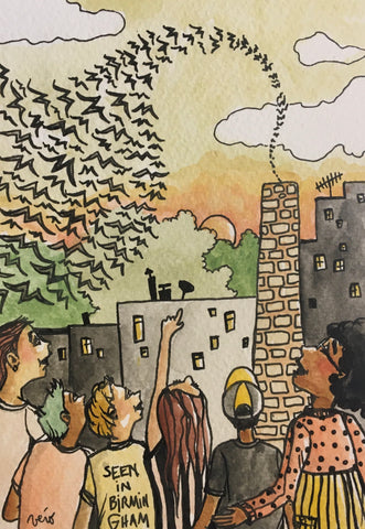 Witness a show of nature - drawing