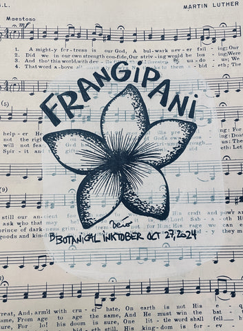 Botanical Inktober Day 27, 2024 "Frangipani”