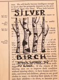 Botanical Inktober Day 16, 2024 "Silver Birch”