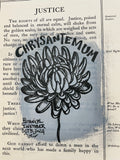 Botanical Inktober Day 5, 2024 "Chrysanthemum”