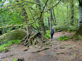 Bretagne - Druids