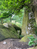 Bretagne - Druids