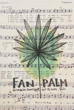 Botanical Inktober Day 14, 2024 "Fan Palm”