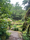 Bretagne - Druids