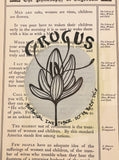 Botanical Inktober Day 19, 2024 "Crocus.”