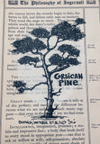 Botanical Inktober Day 26, 2024 "Corsican Pine”