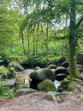 Bretagne - Druids
