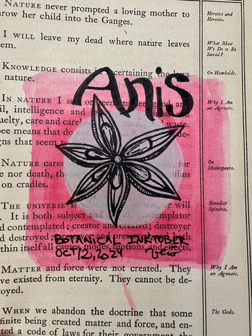 Botanical Inktober Day 12, 2024 "Anis"