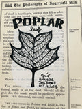 Botanical Inktober Day 4, 2024 "Poplar leaf”