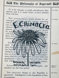 Botanical Inktober Day 23, 2024 "Echinacea”