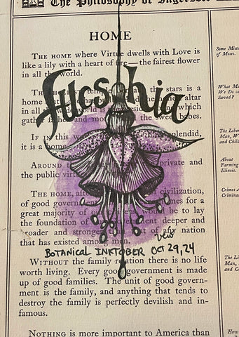 Botanical Inktober Day 29, 2024 "Fucshia"