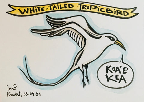 White-tailed tropicbird - original drawing inspired by Hawaii